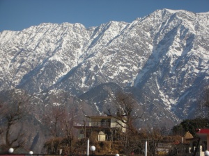View from self's room at the Snow Crest Inn, Dharamsala, January 2012